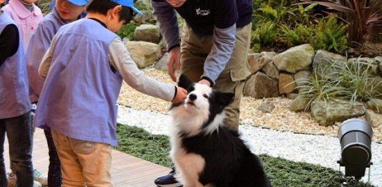 ホテルで園児が犬との触れ合い