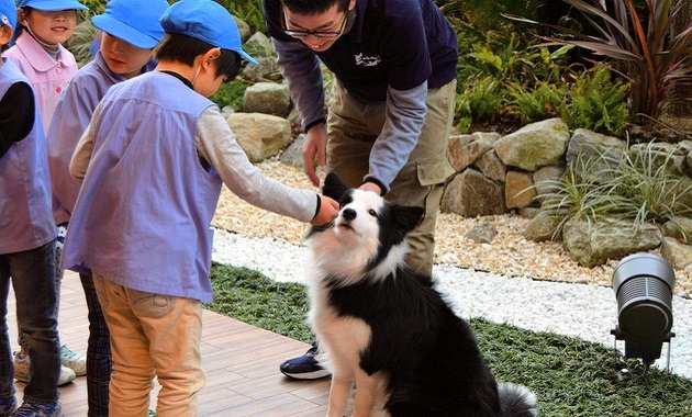 ホテルで園児が犬との触れ合い