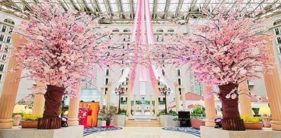 アトリウムロビーで桜を楽しもう！ 東京ベイ舞浜ホテル クラブリゾート
