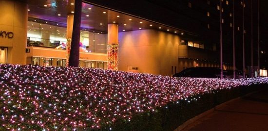 浦安の輝くイルミネーション 各施設でクリスマスイベント満載