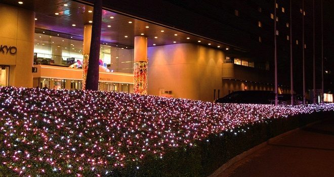 浦安の輝くイルミネーション 各施設でクリスマスイベント満載