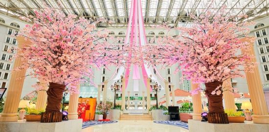 東京ベイ舞浜ホテル クラブリゾート　３階アトリウムロビーを華やかに彩る桜