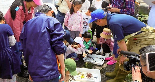 水を浄化する自然のシステム "干潟"