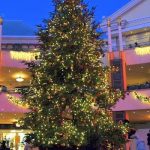 ２階の広場に高さ７メートル クリスマスツリーが登場 イクスピアリ