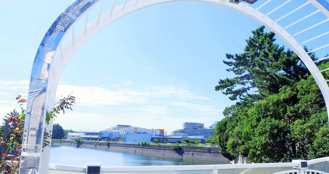 浦安小さな旅(14) 写真特集「東野周辺」