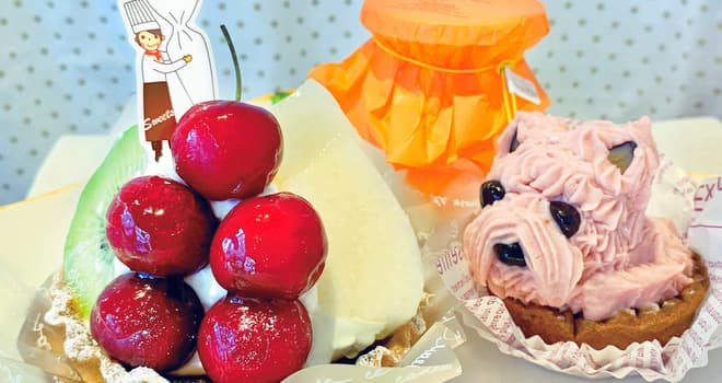 うらじょグルメ(47) 愛らしい創作菓子がいっぱい「Pastel de Vene（パステル・デ・ベネ）」