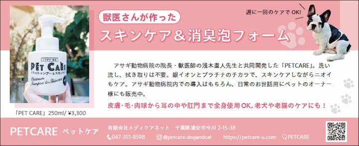 広告画像
