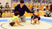 第37回わんぱく相撲浦安場所開催　約320人の小学生が土俵で熱戦